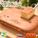 【賞味期限間近1000円⇒888円】阿蘇 ジャージー チーズケーキ 1個 希少 な ジャージー牛乳使用 送料無料 スイーツ 【賞味期限2020年1月6日】《3-7営業日以内に出荷予定(土日祝日除く)》