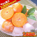 冷凍みかん 熊本県産 冷凍 小玉 みかん 皮付き 1.5kg 500g×3袋 送料無料 2s~3s 2s 3sサイズ フルーツ 小玉 果物 柑橘 取り寄せ 通販 アイス シャーベット 2セットで1セットおまけ 【《1-5営業日以内に出荷予定(土日祝日除く)》