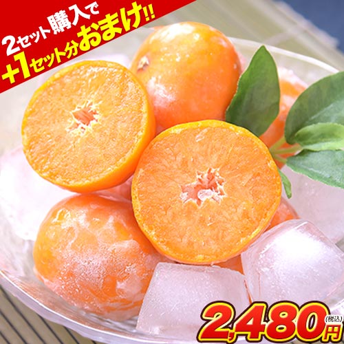 【待望の再入荷】冷凍みかん 熊本県産 冷凍 小玉 みかん 皮付き 1.5kg 500g×3袋 送...