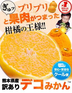 【数量限定 緊急入荷】デコみかん 1.5kg 訳あり クール便 送料無料 デコ みかん デコポン 同品種 熊本県産 旬 の みかん 柑橘 産地直送 取り寄せ 箱 《4月中旬-5月上旬頃より順次出荷》