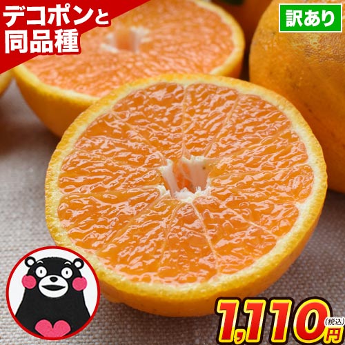 デコみかん 1.5kg 訳あり 送料無料 みかん デコポン 同品種 熊本県産 柑橘 産地直送 取り寄せ 箱 お取り寄せ お取り寄せグルメ 《2月末-3月中旬頃より発送予定》【2個購入で1セットおまけ】【3個購入で3セットおまけ！】