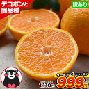 楽天市場人気商品