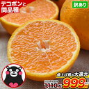 楽天市場人気商品