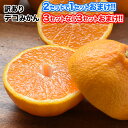 ＼クーポン利用で999円／デコみかん 1.5kg 熊本県産 ...