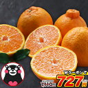 【Wクーポンで1110円⇒727円】デコみかん 1.5kg ...