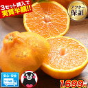 【在庫残りわずか 】 セット購入でおまけ付き 本場熊本産 訳あり デコみかん 送料無料 1.5kg 不知火 みかん ミカン 熊本県産 訳あり デコポン と同品種 熊本 柑橘 目玉商品 くまもと風土 《7-1…