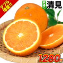 【販売解禁!】 訳あり 清見 1.5kg 柑橘 最大3セット分のおまけ付き みかん約6〜約20玉前後入 送料無料 熊本産 デコポン(不知火) はるみ せとか の生みの親 旬 2セット購入で1セット分 《3月上旬-3月中旬より発送予定》
