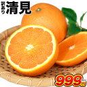 訳あり 清見 1.5kg / 約6〜約20玉前後入 送料無料...