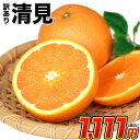 訳あり 清見 1.5kg / 約6〜約20玉前後入 送料無料...