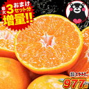 【赤字覚悟★今だけ977円】熊本みかん 送料無料 訳あり み