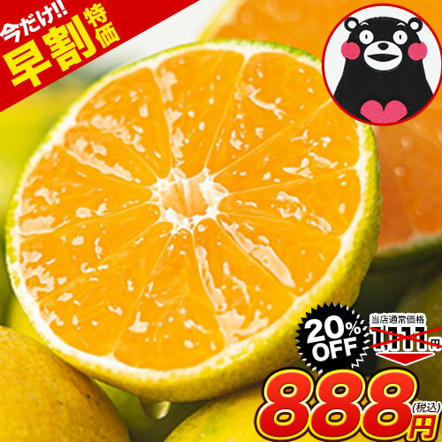 【 今だけ早割特価☆赤字覚悟の888円！ 】熊本 みかん 1.5Kg 訳あり みかん 送料無料 規格外 大玉 小玉 不選別 家庭用 ＜2セット以上でオマケ増量＞ 柑橘 産地直送 熊本県産 くまもと風土 39ショップ《10月中旬-11月上旬頃出荷予定》