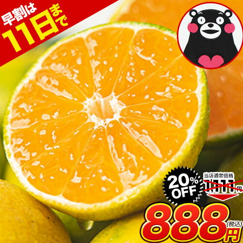 【早割☆888円 】熊本 みかん 送料無料【増量で9kg⇒2,664円】楽天 スーパーセール 超目玉 訳あり みかん1.5kg 規格外 大玉 小玉 不選別 家庭用 ＜2セット以上でオマケ増量＞ 柑橘 熊本県産 くまもと風土 セール 39ショップ《10月中旬-11月上旬頃出荷予定》