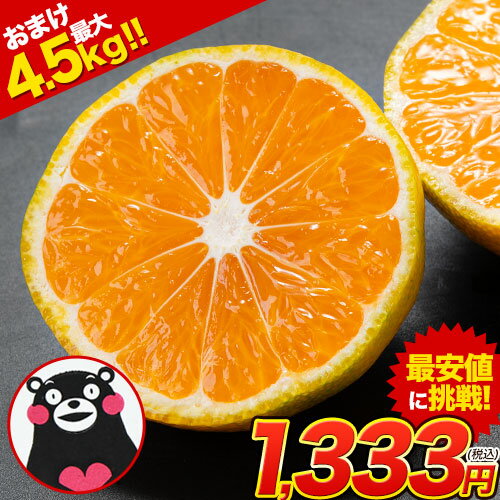 みかん 訳あり 【 5kg 5000 g 以下 ( 5キロ ・ 5k ) サイズ 箱 買い ...