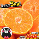 ＼たっぷり3kgが999円⇒888円／熊本 みかん 1セット...