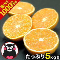 【2セット購入で1,000円OFF】 熊本 みかん ミカン 1セット 5kg 規格外 訳あり 送料無料 フルーツ 訳ありみかん 温州 家庭用 果物 柑橘 九州 産地直送 食品 品種 取り寄せ 通販 スイーツ《11月下旬-12月中旬頃より順次出荷》