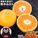 【Wクーポンで1150円⇒838円】熊本 みかん 1セット ...