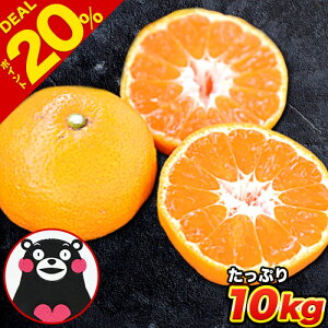 【楽天スーパーDEAL20%還元】熊本 みかん 1セット 10kg 送料無料 規格外 訳あり フルーツ 訳ありみかん 温州 家庭用 果物 柑橘 九州 産地直送 食品 買い 箱 品種 取り寄せ 通販【1029】《3-10営業日以内に出荷予定(土日祝日除く)》