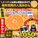 ＼1セットから送料無料＋50円OFF・3セットなら300円O...