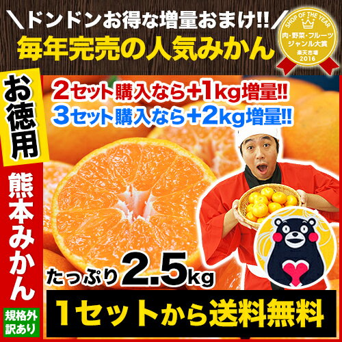 ＼1セットで50円OFF・2セットで100円OFFクーポン／...