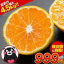 【最安値に挑戦★2セット以上でおまけ】 みかん 訳あり 1.