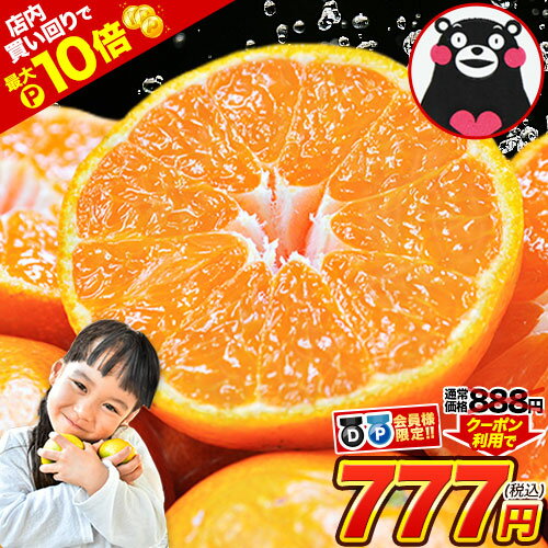 【11/20 20時～★店内買い回りでP最大10倍】【D/P会員様はク...(4)