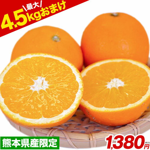 ネーブル オレンジ 国産 1.5kg 送料無料 訳あり 安心安全 熊本県産 旬 の みかん 2セット ...