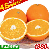 ネーブル オレンジ 国産 1.5kg 送料無料 訳あり 安心安全 熊本県産 旬 の みかん 2...