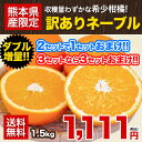 【送料無料】【ダブル増量】訳ありネーブルオレンジ1.5kg★...