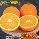 ネーブル オレンジ 1.5kg 送料無料 訳あり 安心安全 ...