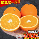 【今だけ1000円★さらにクーポンで100円OFF】ネーブル