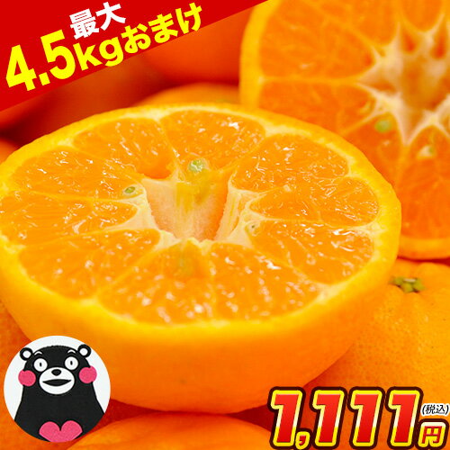 注文殺到 ポンカン 訳あり 1.5kg 送料無料 熊本県産 旬 みかん ミカン 2セット購入で1セット分増量 柑橘 旬 熊本 家庭用 箱買い ポンカン熊本 《1~5営業日以内に出荷予定（土日祝日除く）》