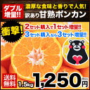 ＼2年連続SOYジャンル大賞受賞／【送料無料】甘熟ポンカン★...