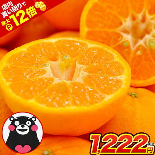 【★店内買い回りでP最大12倍★】 