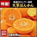 送料無料!【光センサー選果で厳選】秀品★天草ぽんかん約4kg...