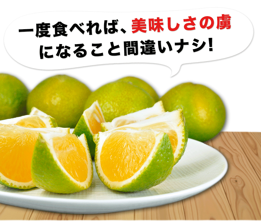 【いよいよ予約解禁！】スイートスプリング 1.5kg 訳あり 熊本県産 送料無料 旬 の みかん 熊本産 取り寄せ 通販 (3L〜Sサイズ/3L-S混合) 2セット購入で1セット分、3セット購入なら3セット分増量 《12月中旬～12月末頃より発送予定》