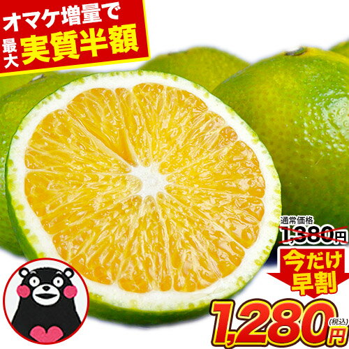 【早割価格＆最大4.5kgおまけ中】スイートスプリング 1.5kg 訳あり 熊本県産 送料無料 旬 の みかん 熊本産 取り寄せ 通販 (3L〜Sサイズ/3L-S混合) 2セット購入で1セット分、3セット購入なら3セット分増量 《12月中旬-12月末頃より発送予定》