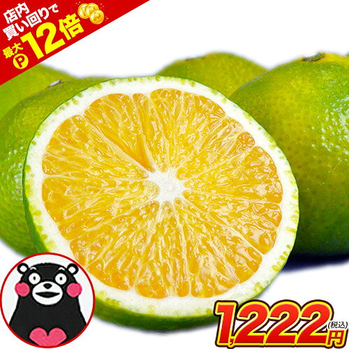 【★店内買い回りでP最大12倍★】【