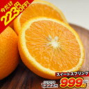 \期間限定タイムセール/スイートスプリング 1.5kg 熊本...