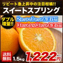 【送料無料】【熊本県産】新種の柑橘！スイートスプリング 1....