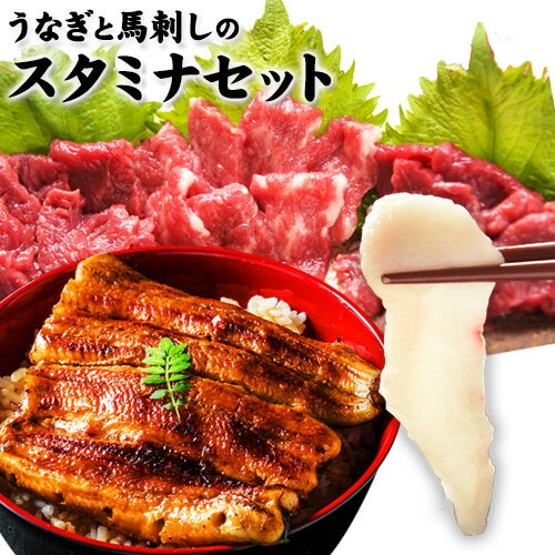 うなぎと馬刺しのスタミナセット 馬刺し 上赤身 たてがみ 希少 純国産 熊本肥育 上赤身 100g たてがみ 50g うなぎ 蒲焼 160g 送料無料 ギフト 敬老の日 暑中見舞い 熨斗 のし お取り寄せ お取り寄せグルメ 中元 《配送予定に記載の日程でお届け》