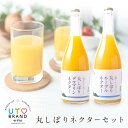 ウトブランド 丸しぼりネクター 720ml×2本 熊本県 宇土産 デコポン 不知火 ネーブル 送料無料 プレゼント ドリンク ギフト お中元 中元 暑中見舞い 熨斗 のしお取り寄せ お取り寄せグルメ 《7-14営業日以内に出荷(土日祝日除く)》