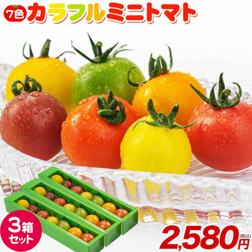 7色カラフルミニトマト 3箱セット 1箱7粒入り 熊本県産 