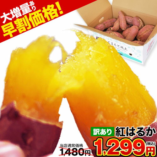 【今だけ早割価格★10％OFF】さつまいも 熊本県産 訳あり 紅はるか べにはるか 1kg 送料無料【5kg 注文でおまけ W増量合計 10kg 】※大中小サイズ混合(不選別 ) 焼き芋 さつま芋 新鮮 土付き 薩摩芋《11月中旬〜12月中旬頃より発送予定》