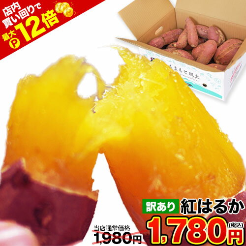 【★店内買い回りでP最大12倍★】【今なら200円OFF】さつまいも 紅はるか べにはるか 1.5kg 5kg 10kg 送料無料 芋 熟成 熊本県産 スイーツ お取り寄せ 訳あり ※大中小サイズ混合(不選別 ) 焼き芋 さつま芋 ブラックフライデー 《1-5営業日以内に発送予定（土日祝除く）》|のサムネイル