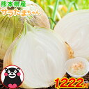 【3セット購入で3セット分おまけ付き!】 熊本県産 サラたまちゃん 訳あり 送料無料 1.5kg サラダ 玉ねぎ 玉葱 タマネギ 熊本 野菜 くまもと風土 お買...