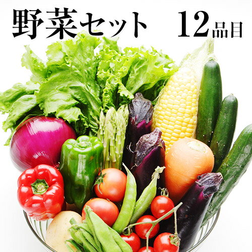 自家用野菜セット【送料無料】九州