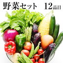 自家用野菜セット【送料無料】九州（熊本）の安心・安全★旬の野菜を たっぷり12品 お取り寄せ お取り