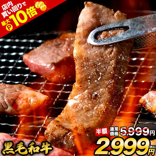 総重量1,520g 肉 5種 バラエティセット 豚肉 鶏肉 ハンバーグ 5種 大容量 お肉 セット 福袋 豚 切り落とし ミンチ 国産 若鶏 モモ肉 むね肉 デミグラス 《配送予定に記載の日程でお届け》 |