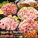 総重量1,520g 肉 5種 バラエティセット 豚肉 鶏肉 ハンバーグ 5種 大容量 お肉 セット 福袋 豚 切り落とし ミンチ 国産 若鶏 モモ肉 むね肉 デ...