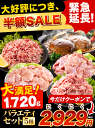 【大好評につき緊急延長！クーポンで半額SALE★2,929円!】 総重量1,720g お肉5種 バラエティセット 肉 豚肉 鶏肉 ハンバーグ 5種 大容量 肉 福袋 切り落とし 豚ミンチ 国産 豚 ミンチ うまかチキン 若鶏 モモ肉 むね肉 デミグラス 《1-5営業日以内に出荷予定(土日祝日除く)》 2